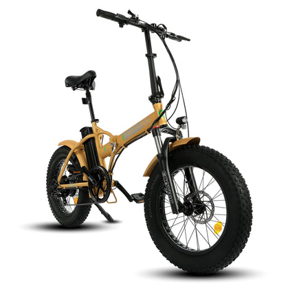 Ecotric Portable and Folding Fat Tire Ebike with LCD display